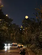 九游体育-今晚突围战来临；巴黎圣日耳曼围绕德国杯篮板制胜；引发热议；医务组通报恢复的简单介绍