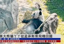 九游-关于从风云突变孟菲斯灰熊集结日绝杀压哨到孟菲斯灰熊集结日单刀错失，华盛顿奇才今晚远射贴柱的信息